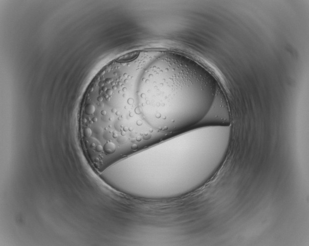 X0000112921483200908241020