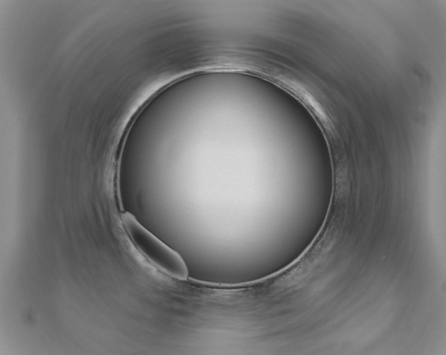 X0000112921484200908241020