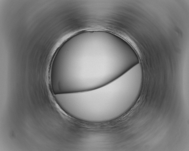 X0000112921485200908241020