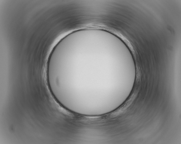 X0000112921486200908241020