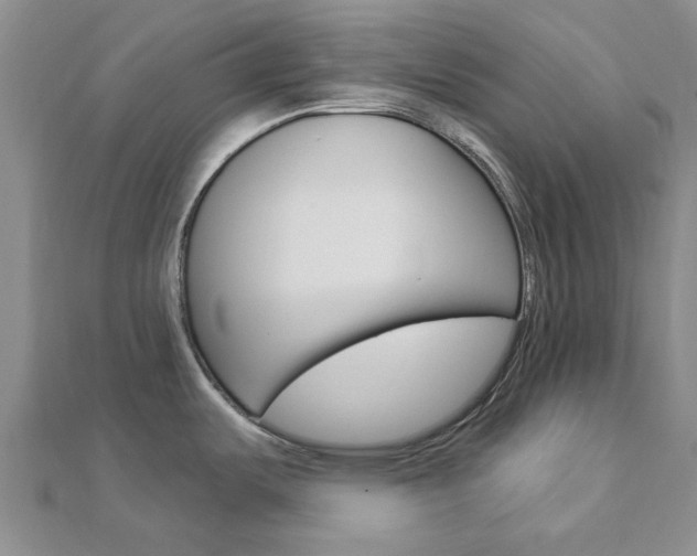 X0000112921487200908241020