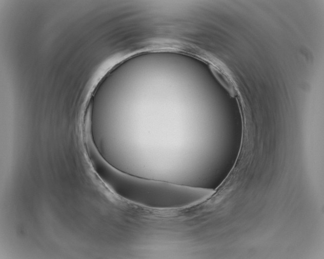 X0000112921488200908241020