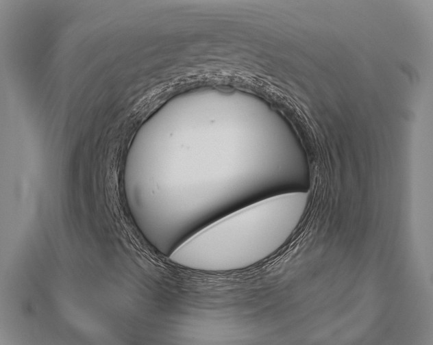 X0000112921489200908241019