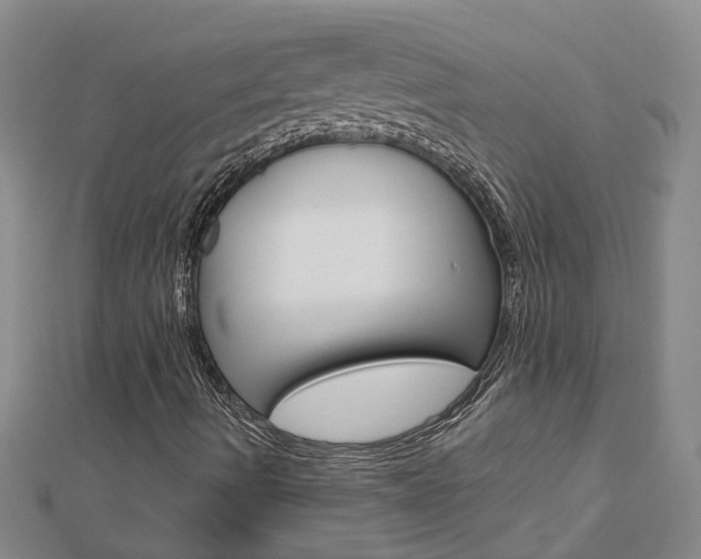 X0000112921490200908241019