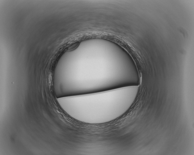 X0000112921492200908241019