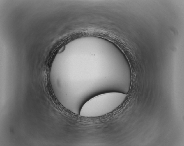X0000112921493200908241019