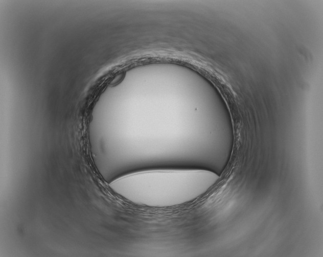 X0000112921494200908241019