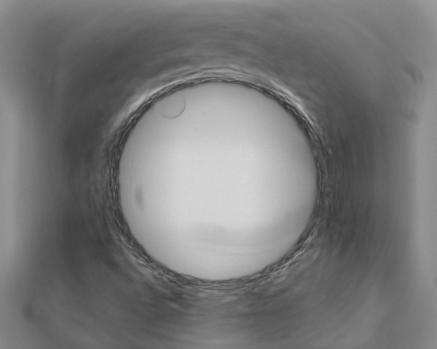 X0000112921496200908241019