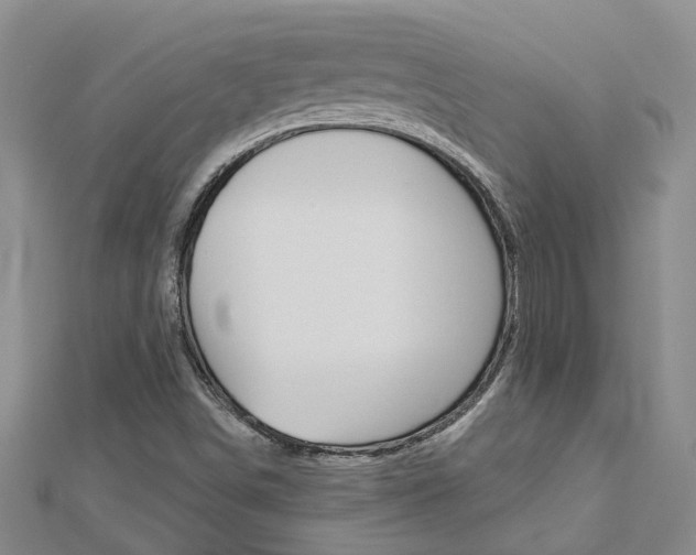 X0000112921498200908241019