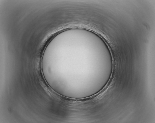 X0000112921499200908241019