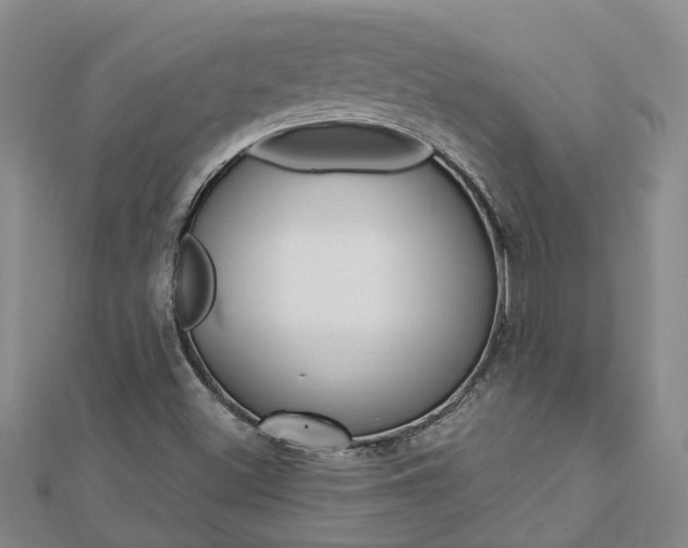X0000112921500200908241019