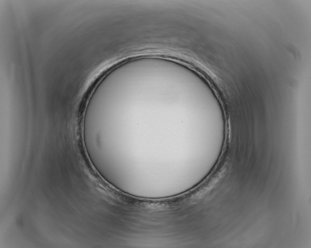 X0000112921501200908241019