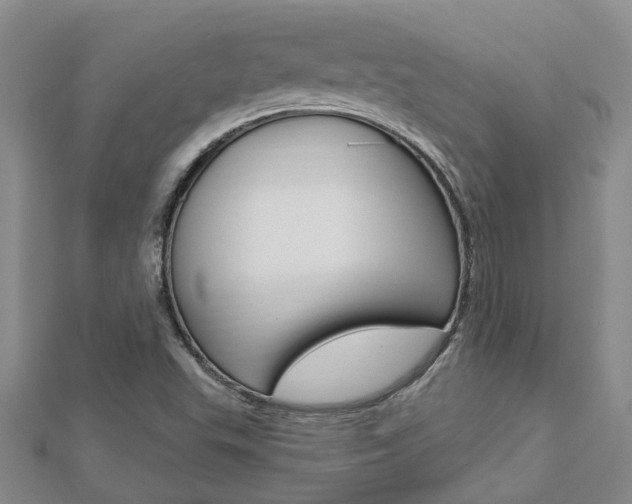 X0000112921503200908241019