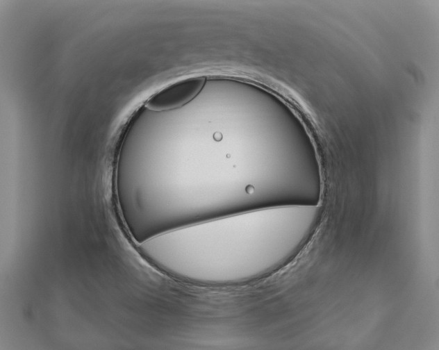 X0000112921504200908241019