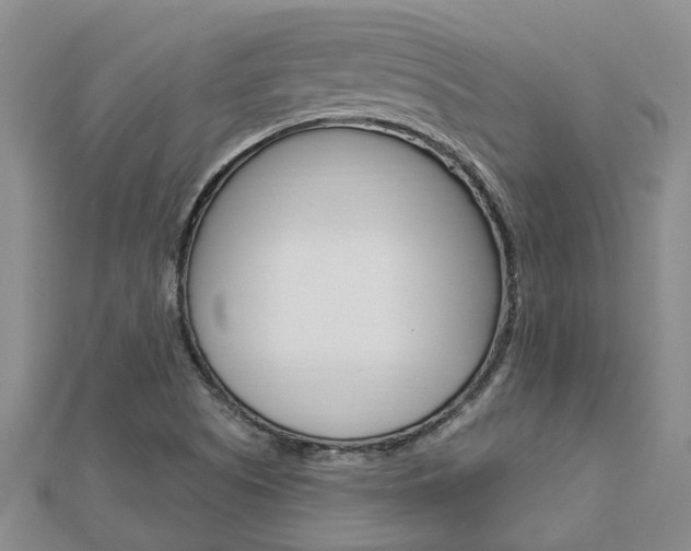 X0000112921505200908241019