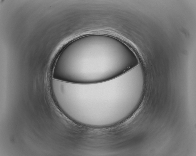 X0000112921506200908241019