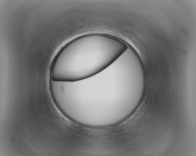 X0000112921508200908241019