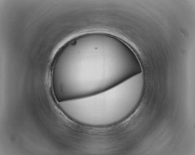 X0000112921510200908241019