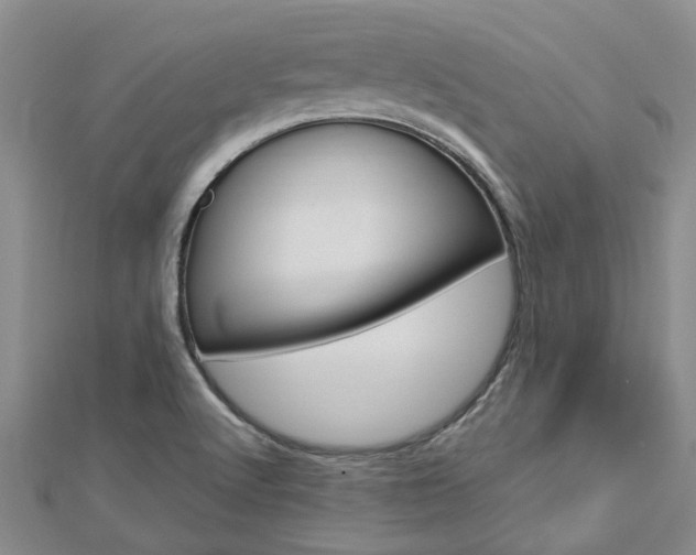 X0000112921512200908241020