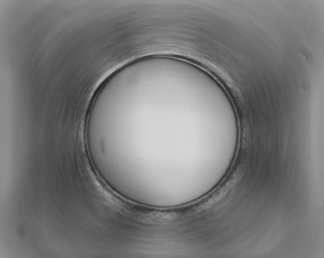 X0000112921513200908241020