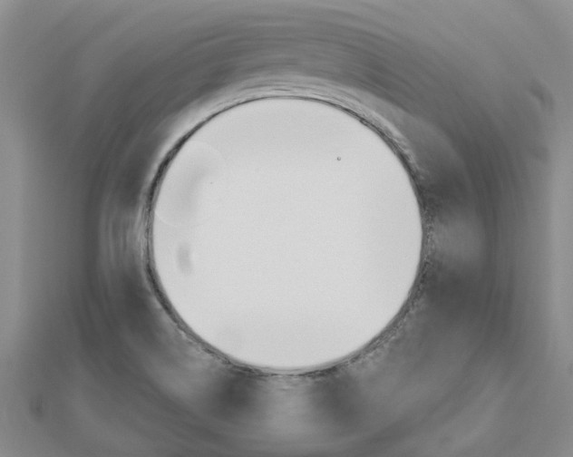 X0000112921514200908241020