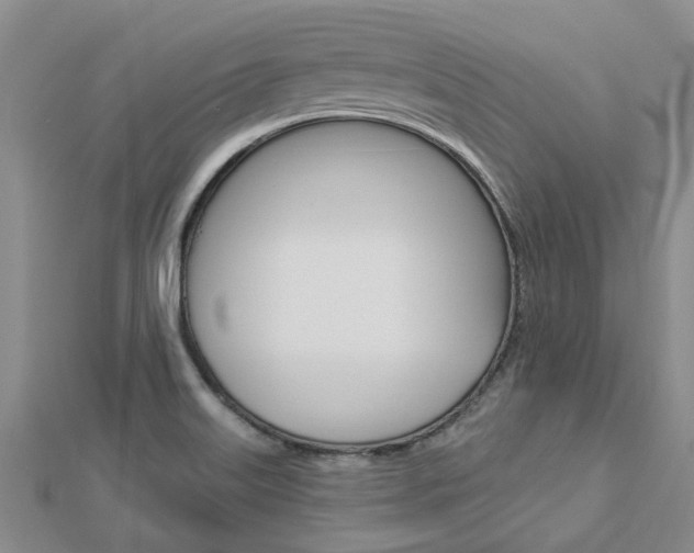 X0000112921515200908241020