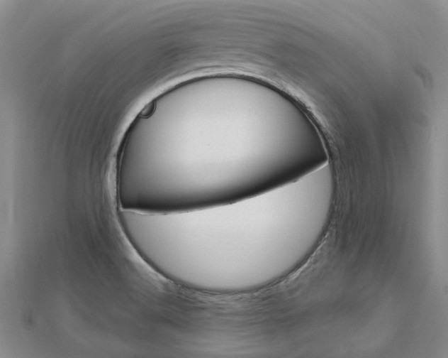 X0000112921516200908241020