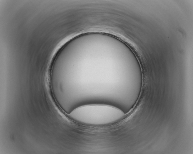 X0000112921517200908241020
