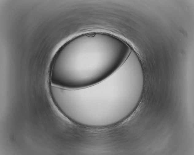 X0000112921518200908241020