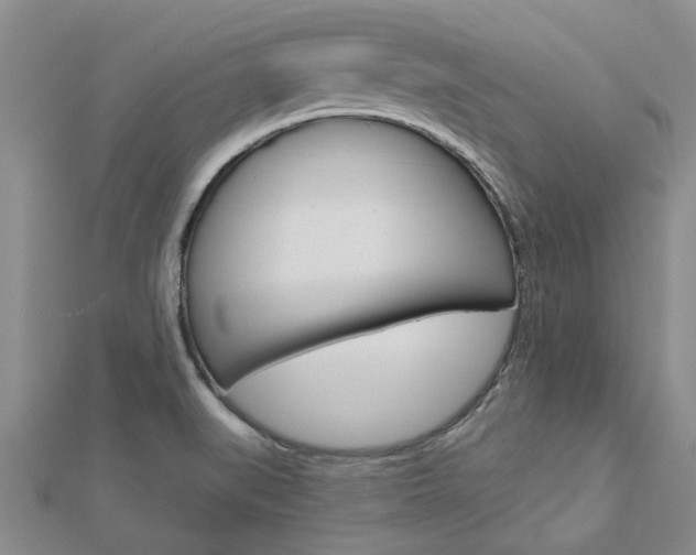 X0000112921519200908241020