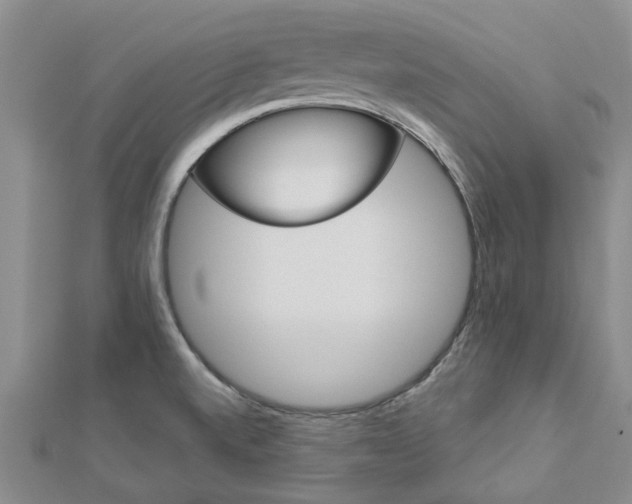 X0000112921520200908241020