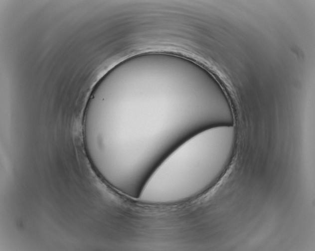 X0000112921521200908241020