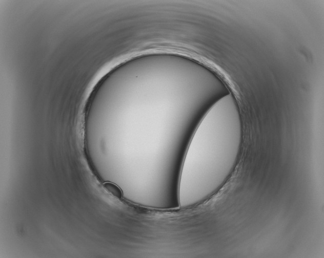 X0000112921522200908241020