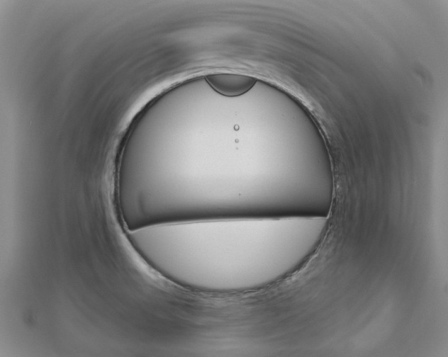 X0000112921523200908241020