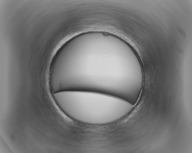 X0000112921525200908241020