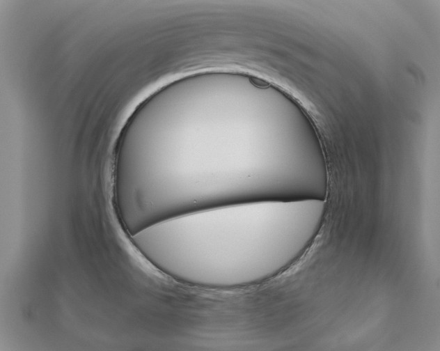 X0000112921526200908241020