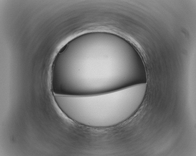 X0000112921528200908241020