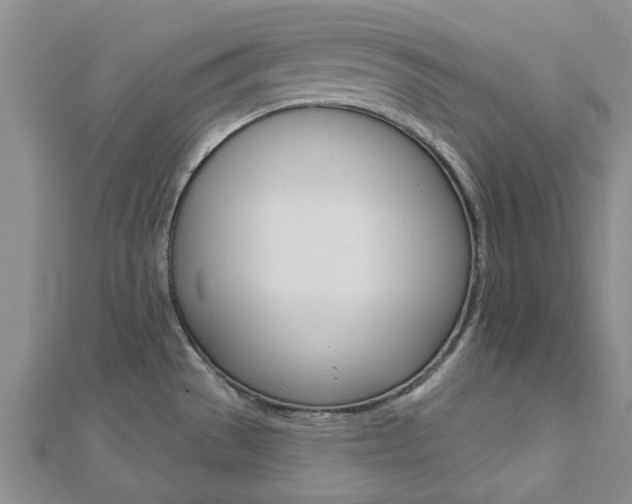 X0000112921529200908241020