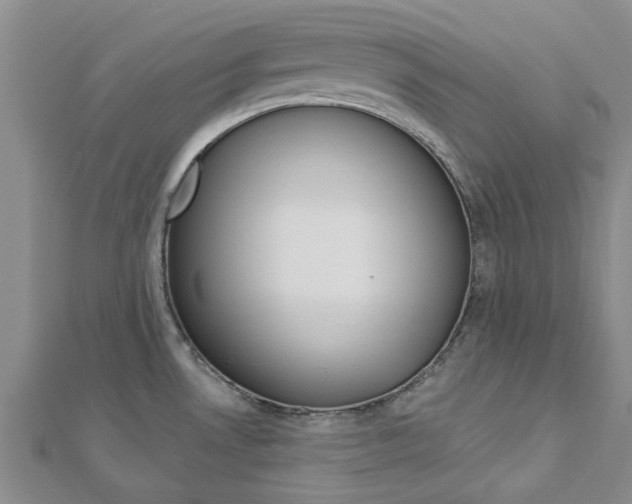 X0000112921530200908241020