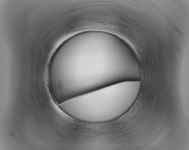 X0000112921531200908241020
