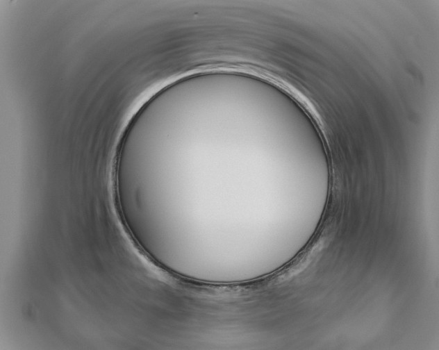 X0000112921533200908241020