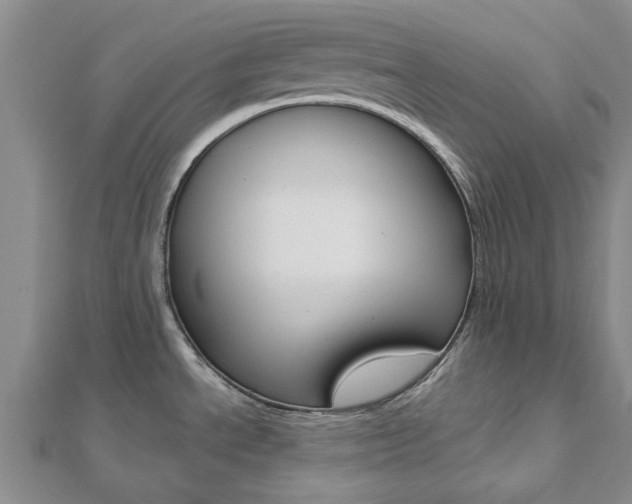 X0000112921534200908241020