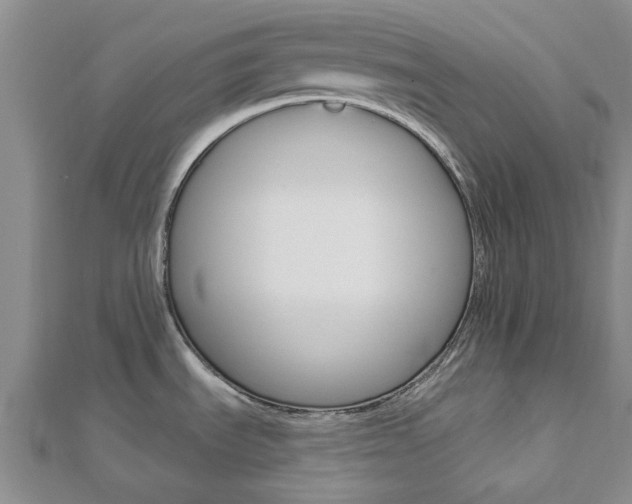 X0000112921535200908241020