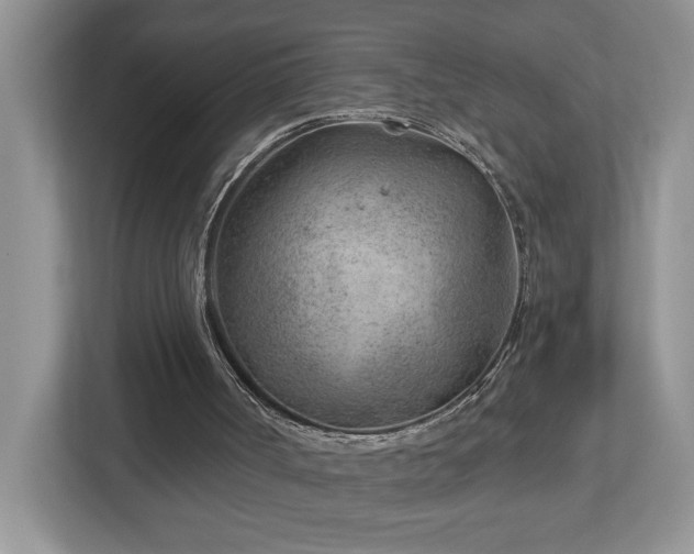 X0000112920002200908241235