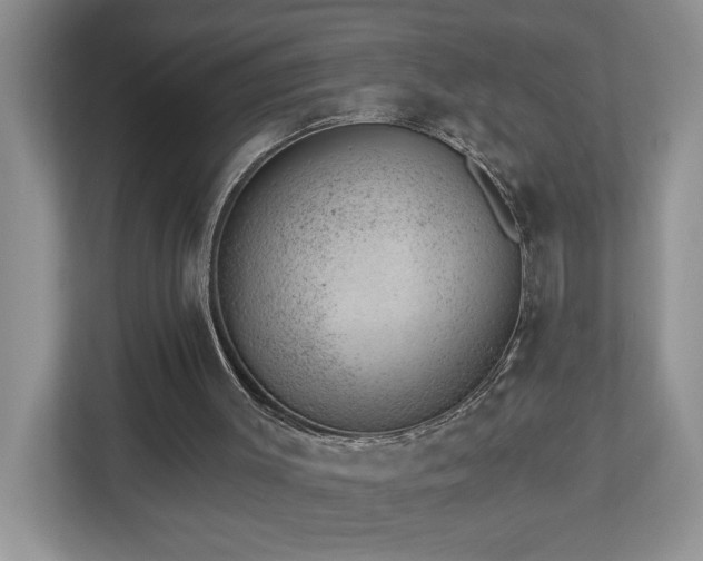 X0000112920003200908241235