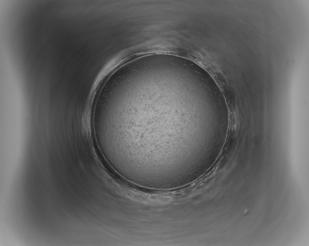X0000112920004200908241235