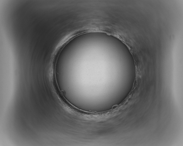 X0000112920005200908241235