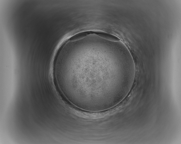 X0000112920006200908241235