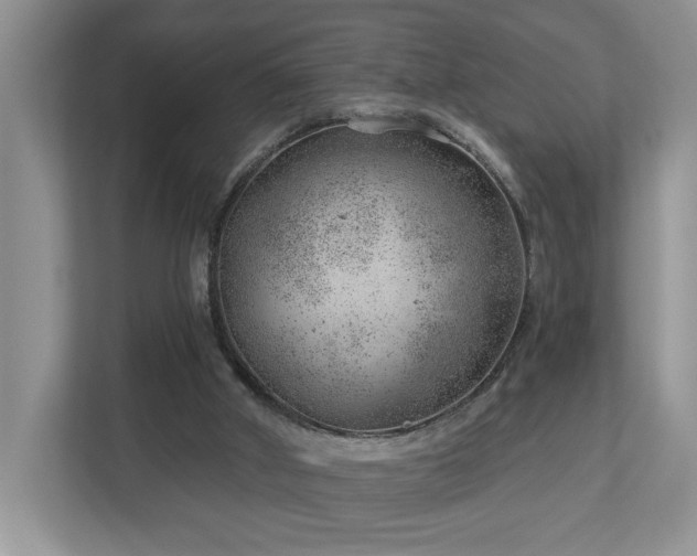 X0000112920010200908241235