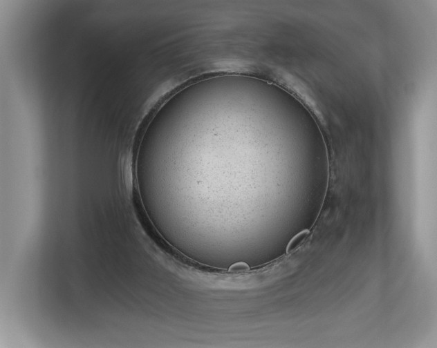 X0000112920011200908241235